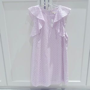 Loft dress NWT size12
